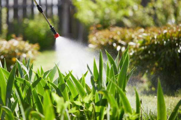 24/7 Emergency Fumigation Services experts in Northville, MI