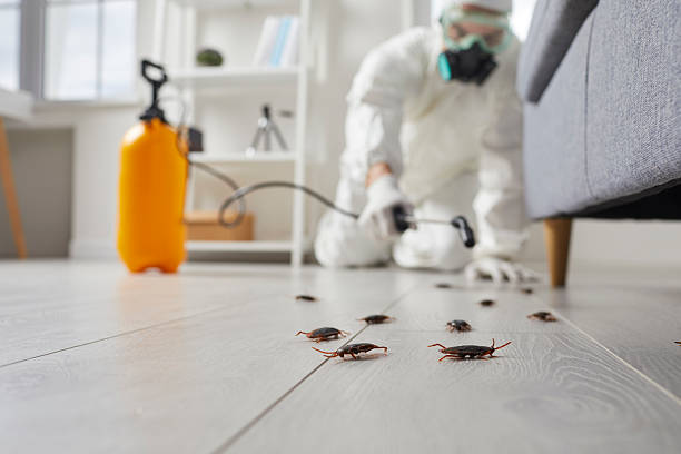 Trusted Rodent Control service in Northville, MI - Nex Pest Control
