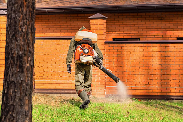Trusted Termite Control service in Northville, MI - Nex Pest Control